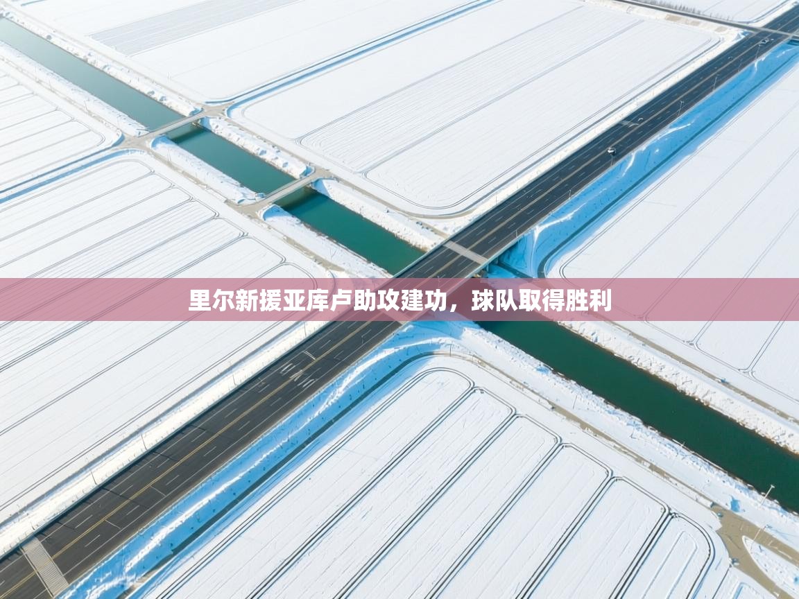 里尔新援亚库卢助攻建功,球队取得胜利 第1张