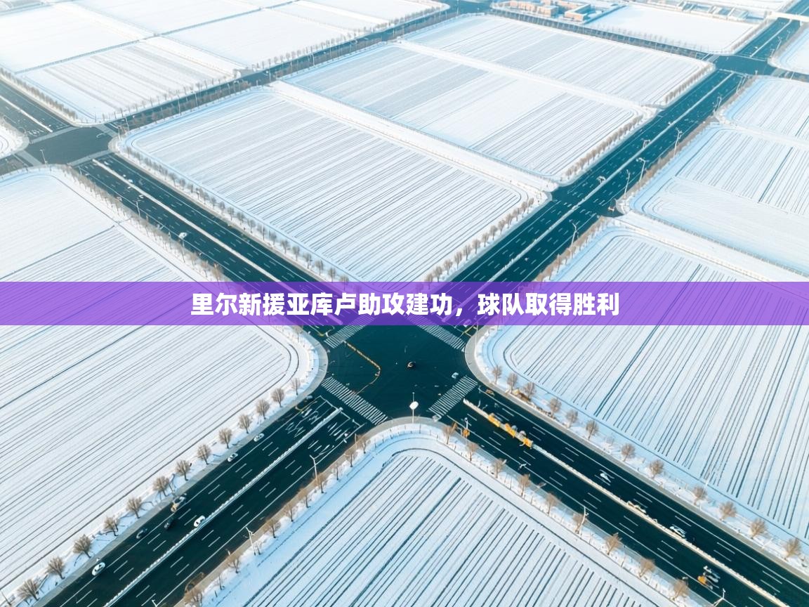 里尔新援亚库卢助攻建功,球队取得胜利 第2张