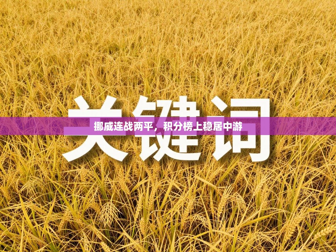 挪威连战两平,积分榜上稳居中游 第1张