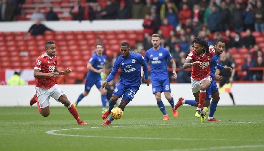 包含谢菲联取得重要胜利，球迷欢呼不断的词条