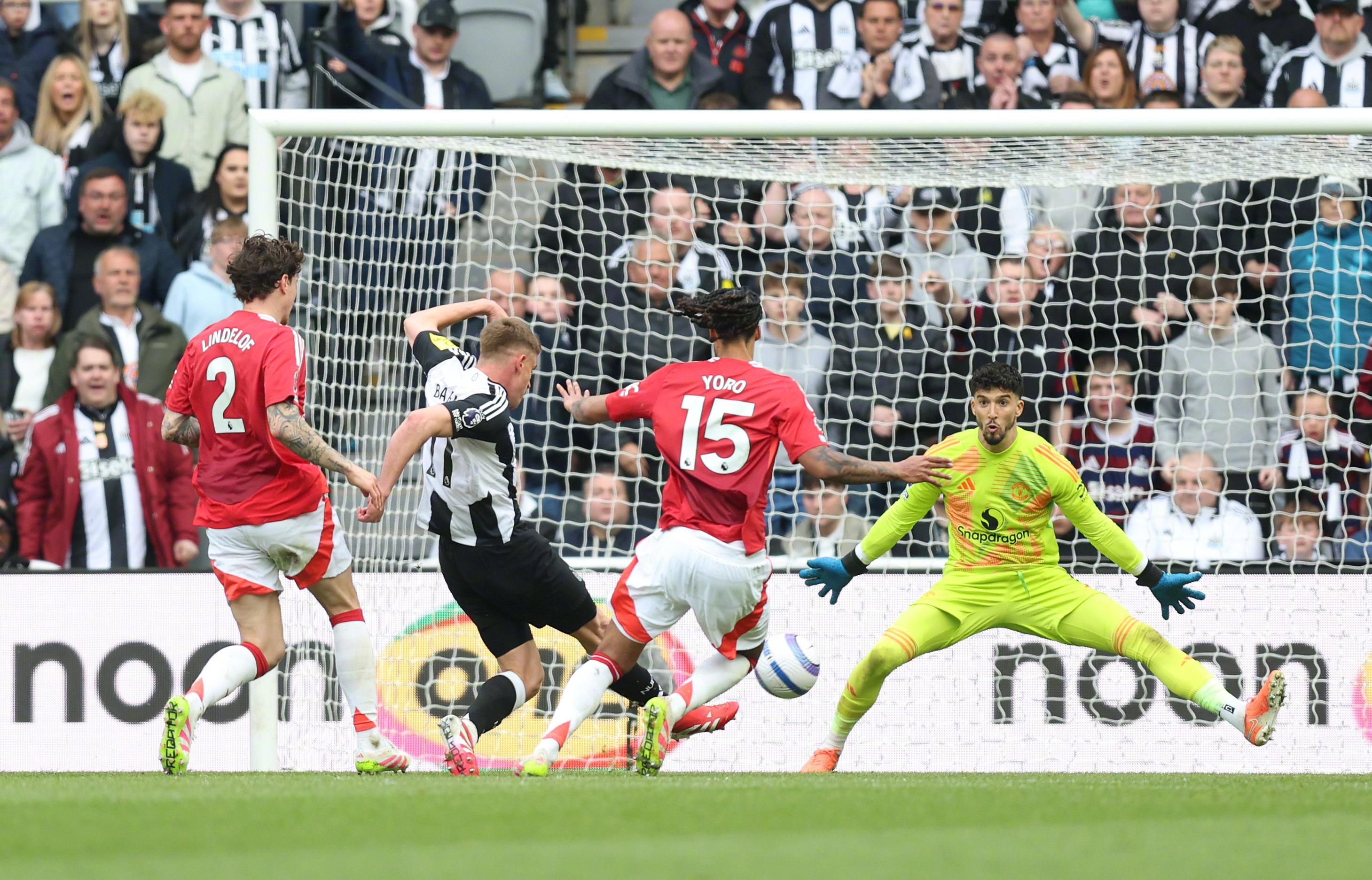 爱游戏-关于纽约市举办全民足球赛事，精彩纷呈的信息